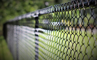 Why Is Chain Link Fence Installation Essential for Pet Owners?