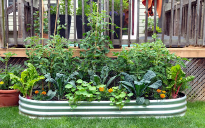 What Types of Garden Fences are Available?